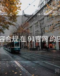 内容合规 在 91官网 的应用