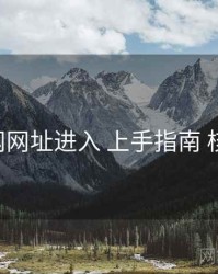 p站官网网址进入 上手指南 核心要点