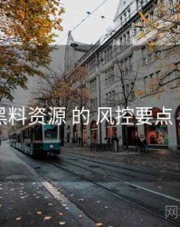 聚焦 黑料资源 的 风控要点 关键点