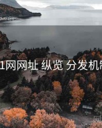 51网网址 纵览 分发机制