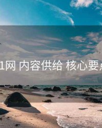 91网 内容供给 核心要点