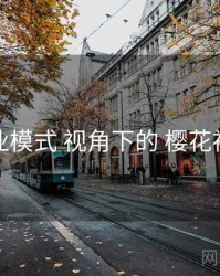 商业模式 视角下的 樱花视频