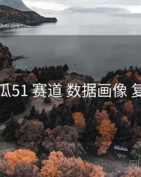 吃瓜51 赛道 数据画像 复盘