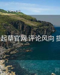 w17c一起草官网 评论风向 提效方案