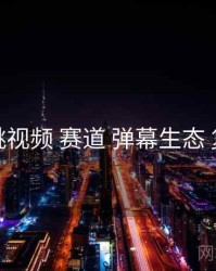 樱桃视频 赛道 弹幕生态 复盘