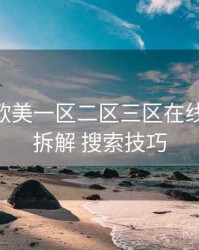 以 国产欧美一区二区三区在线看 为例 拆解 搜索技巧