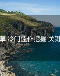 一起草 冷门佳作挖掘 关键节点