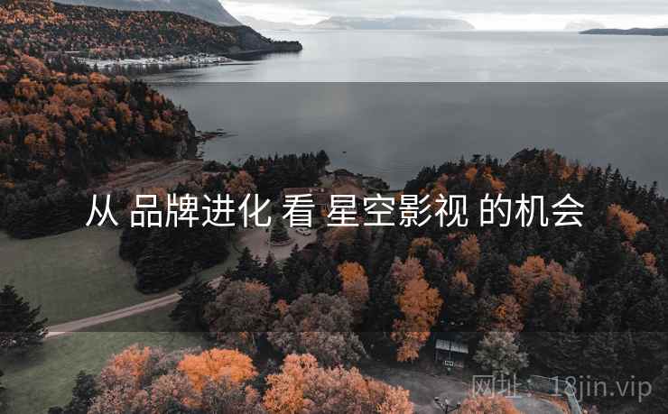 从 品牌进化 看 星空影视 的机会