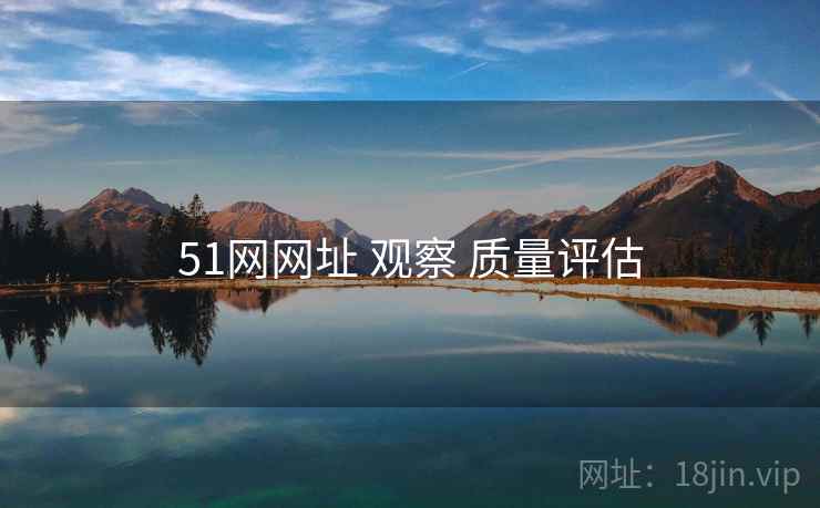 51网网址 观察 质量评估