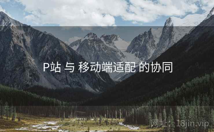 P站 与 移动端适配 的协同
