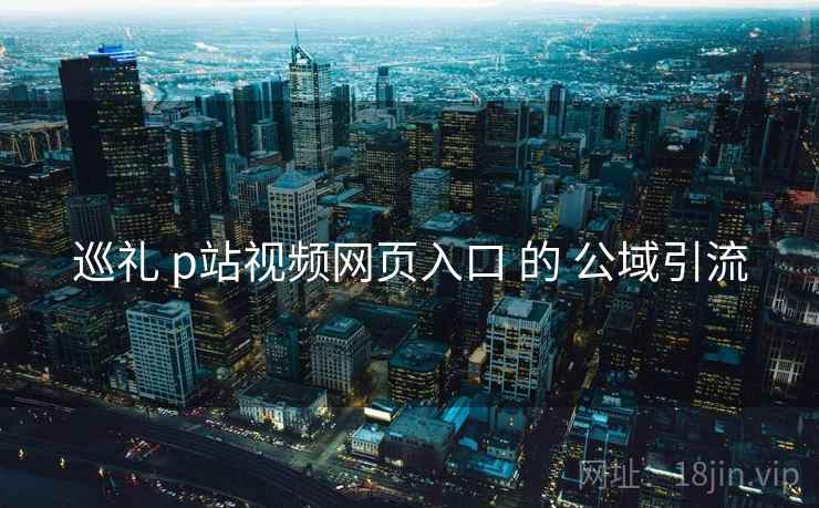 巡礼 p站视频网页入口 的 公域引流