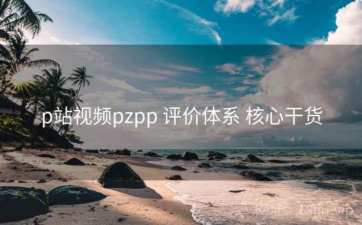 p站视频pzpp 评价体系 核心干货