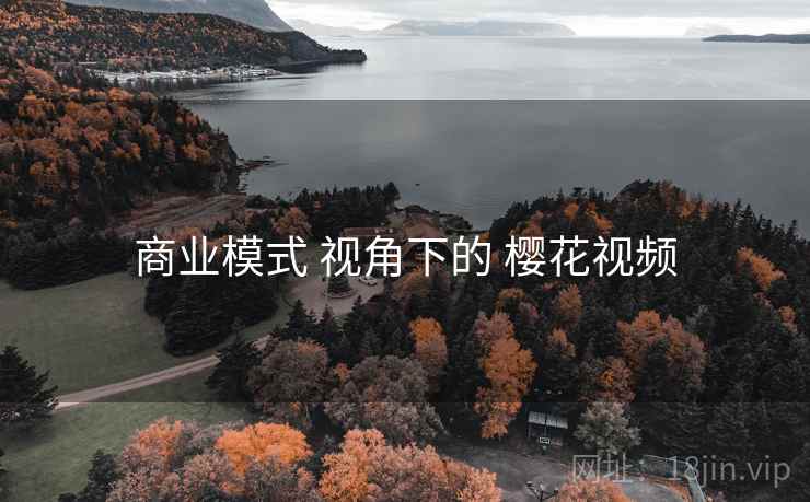 商业模式 视角下的 樱花视频