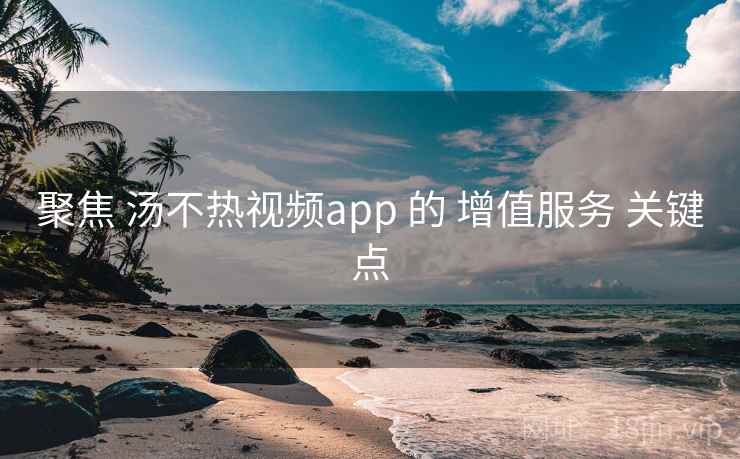 聚焦 汤不热视频app 的 增值服务 关键点