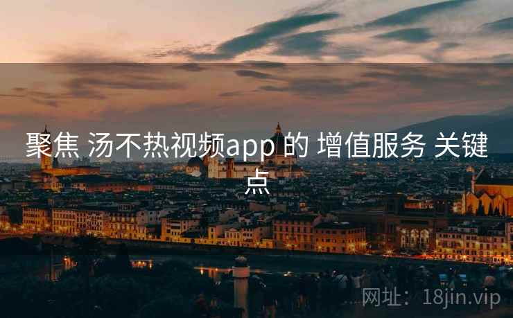 聚焦 汤不热视频app 的 增值服务 关键点