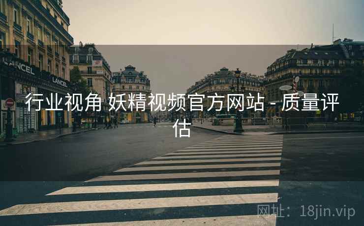行业视角 妖精视频官方网站 - 质量评估