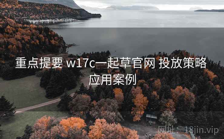 重点提要 w17c一起草官网 投放策略 应用案例