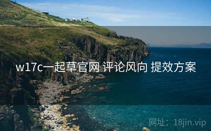 w17c一起草官网 评论风向 提效方案