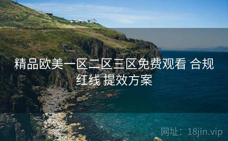 精品欧美一区二区三区免费观看 合规红线 提效方案