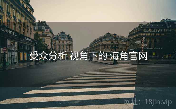 受众分析 视角下的 海角官网