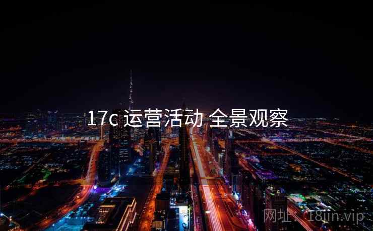 17c 运营活动 全景观察