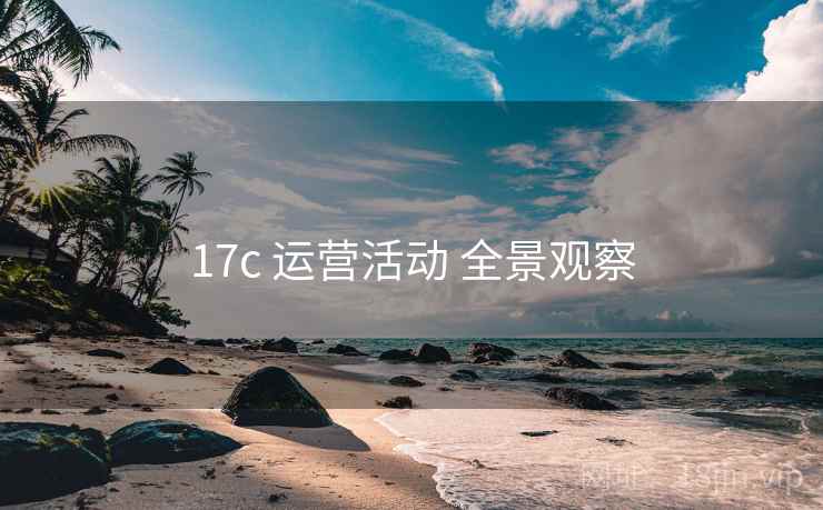 17c 运营活动 全景观察