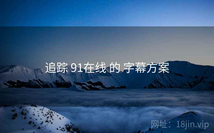追踪 91在线 的 字幕方案
