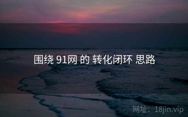 围绕 91网 的 转化闭环 思路
