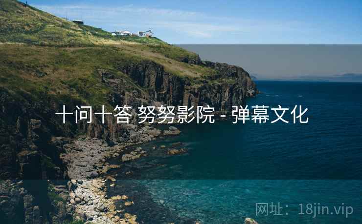十问十答 努努影院 - 弹幕文化