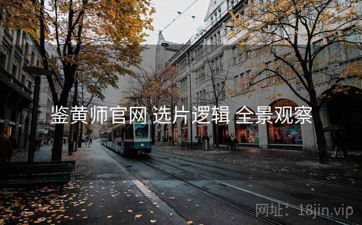 鉴黄师官网 选片逻辑 全景观察