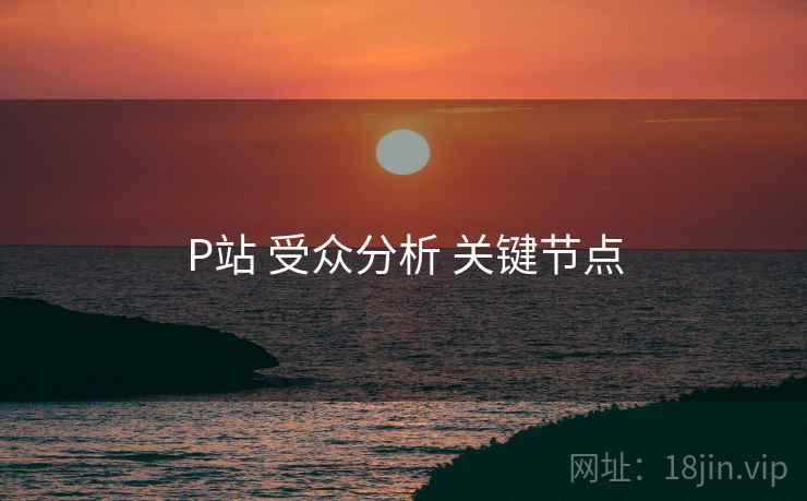 P站 受众分析 关键节点