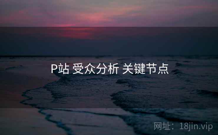 P站 受众分析 关键节点