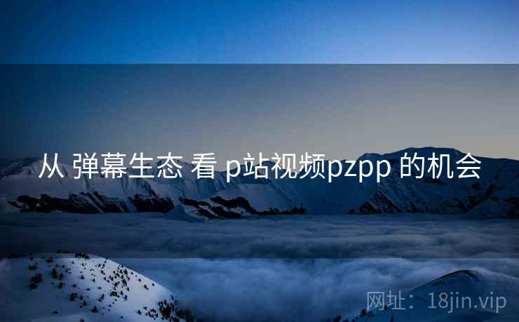 从 弹幕生态 看 p站视频pzpp 的机会