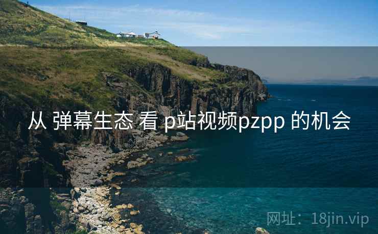 从 弹幕生态 看 p站视频pzpp 的机会